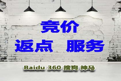 托管竞价SEM操作技巧与案例